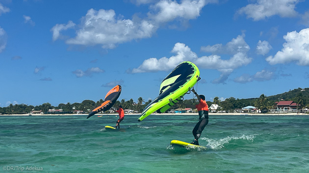 Séjour wingfoil à Marie-Galante dans les Antilles