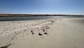 Séjour wing à Dakhla au Maroc