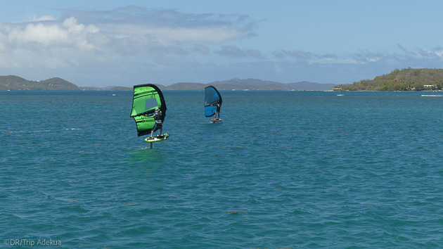 Des vacances wingfoil inoubliables en Martinique