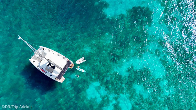 Votre croisière wingfoil en Corse à bord d'un catamaran tout confort