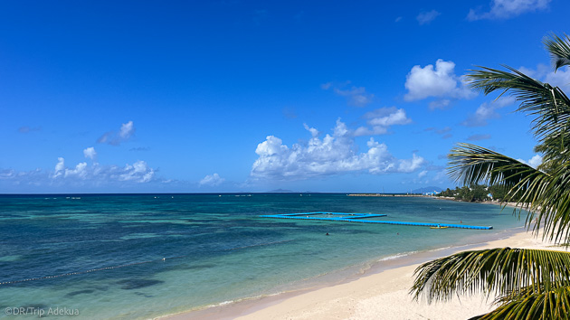 Vos vacances wing foil sur l'île paradisiaque de Marie-Galante