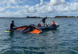 Votre stage de wing foil en Bretagne - voyages adékua