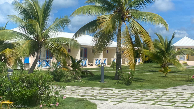 Vacances wingfoil aux Caraïbes sur l'île d'Anguilla