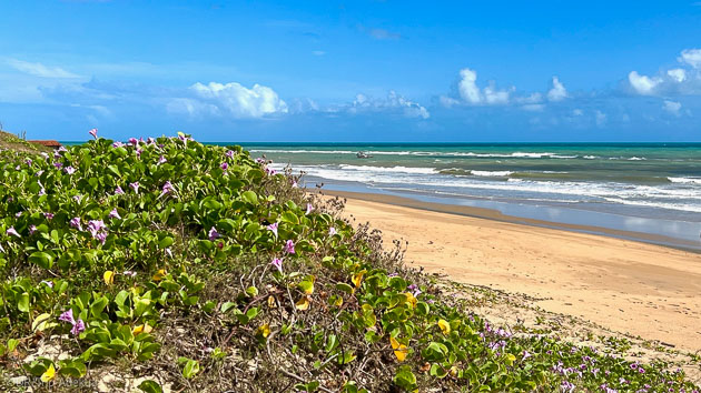 Explorez les plus belles plages du Nordeste du Brésil pendant votre séjour wing